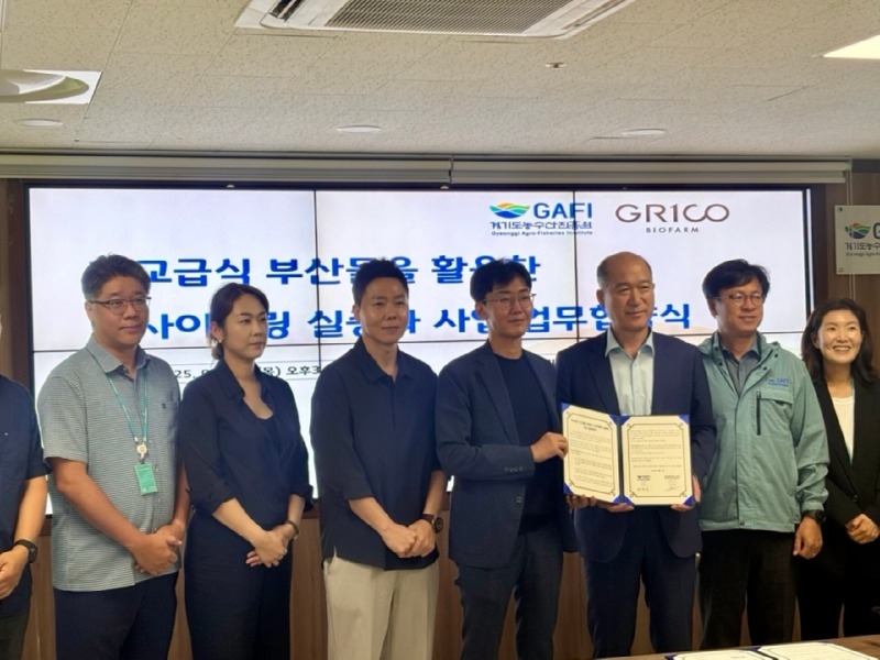 사진자료.jpg